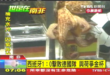 世足賽／章魚哥神準！　西班牙1：0踢贏德國