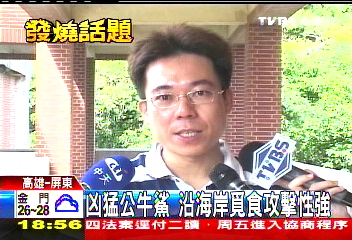 往東游變往西! 公牛鯊可能與人擦身