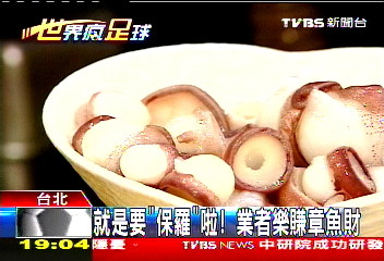 〈獨家〉就是要「保羅」啦！　業者樂賺章魚財