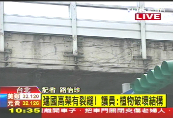 恐成危橋！　建國高架鋼筋裸露、植物橫生