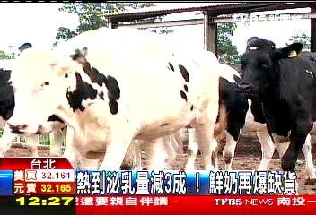 熱到泌乳量減3成！　鮮奶再缺貨