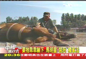 【中國進行式】能裝死!收入滾滾來 伯樂專找「戲馬」