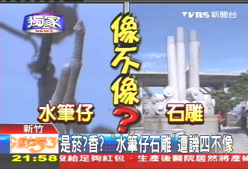 〈獨家〉是菸?香? 「水筆仔石雕」遭譏四不像