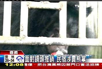 民宿涉賣熊掌？　老闆失蹤、名人否認