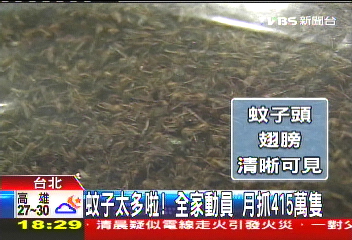蚊子太多啦！全家動員　月抓415萬隻