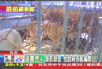 「眼鏡蛇灌香腸」　話題蛇王駁賣虎