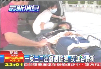 一家3口出遊遇蜂襲 女墜谷骨折