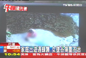 偕父母打獵遇蜂襲 女中毒墜谷不治