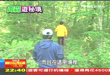 【青森秘境】日本世遺「白神山地」 神木的傳說
