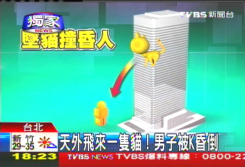 〈獨家〉天外飛來一隻貓！　男子被K昏倒