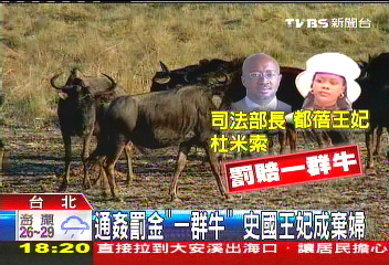 通姦罰金「一群牛」 史國王妃成棄婦