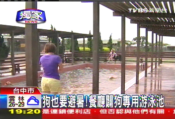 〈獨家〉狗也要避暑！　餐廳闢狗專用游泳池