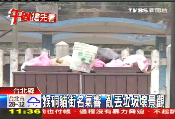 猴硐貓街名氣響　亂丟垃圾壞景觀