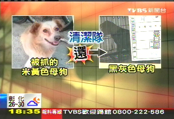 抓米黃狗還黑狗？　清潔隊亂配對