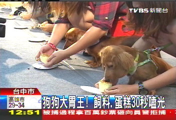 狗狗大胃王！　飼料、蛋糕30秒嗑光