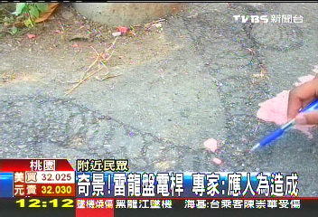 雷擊龍紋現？　龍潭出「鱗片龍」民眾稱奇