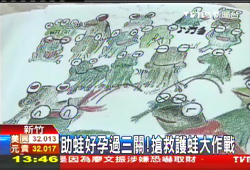 助蛙好孕過三關 搶救護蛙大作戰