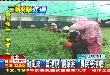 三颱夾擊/颱風來!賣場現「搶菜潮」 農民急搶收