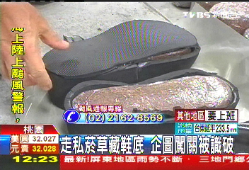走私菸草藏鞋底　企圖闖關被識破