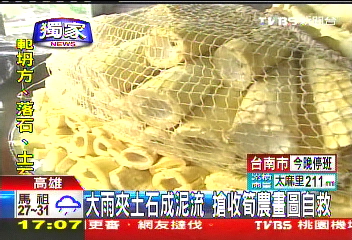 〈獨家〉大雨夾土石成泥流 搶收筍農畫圖自救