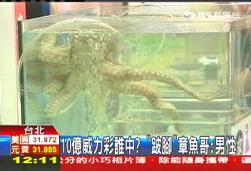 威力彩/10億誰中? 「跛腳」章魚哥驚嚇撞壁