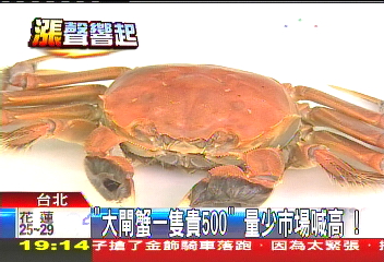 「大閘蟹一隻貴500」　量少市場喊高！