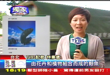 〈獨家〉扯!花博鯨魚圖 竟是拷貝海生館