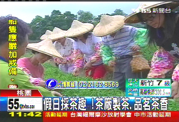 假日採茶趣！　茶廠製茶、品茗茶香