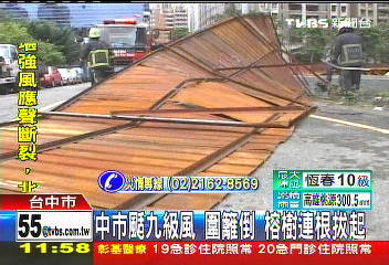 凡那比颱風／中市颳9級風　圍籬倒、榕樹連根拔起
