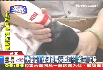 〈獨家〉小象打噴嚏! 動物側拍VCR曝光