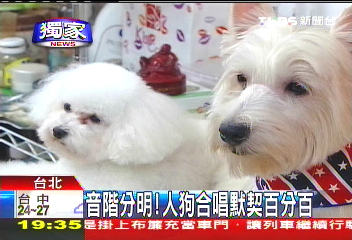 〈獨家〉音階分明! 人狗合唱默契百分百