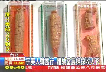 于美人韓國行　體驗當農婦採收人蔘