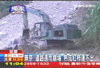 〈獨家〉無奈!道路遇雨崩塌 熟成紅柿運不出