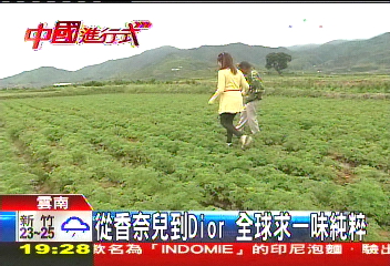 【中國進行式】從香奈兒到Dior 全球求一味純粹