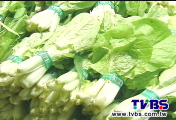 減肥只吃菜反增重? 營養失衡代謝慢