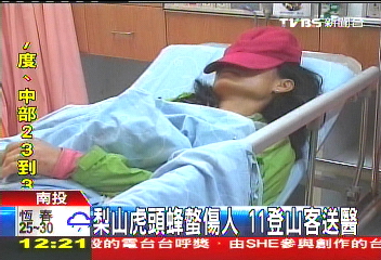 梨山虎頭蜂螫傷人 11登山客送醫