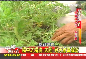 【中國進行式】在最偏僻的地方賺外幣 直擊賓川