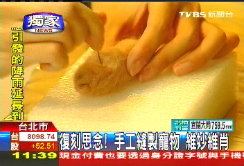〈獨家〉復刻思念！手工縫製寵物　維妙維肖