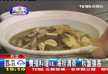 〈獨家〉養殖料理vs.海撈清蒸　秋蟹搶客！