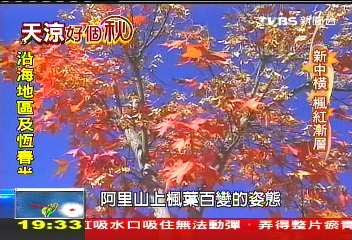 【天涼好個秋】阿里山楓紅點點　師生拍照紀錄
