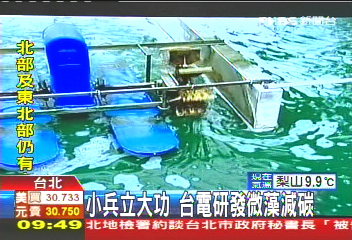 小兵立大功　台電研發微藻減碳