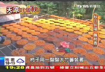 【天涼好個秋】秋日斜陽飄柿香　粄條柿乾新「客」味