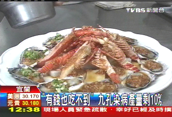 「有錢也吃不到」　九孔染病產量剩10%