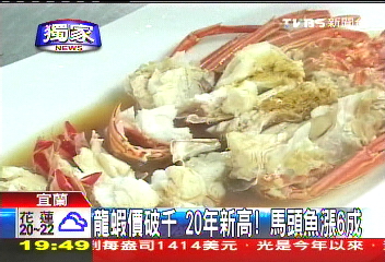 〈獨家〉龍蝦價破千!20年新高 馬頭魚漲6成