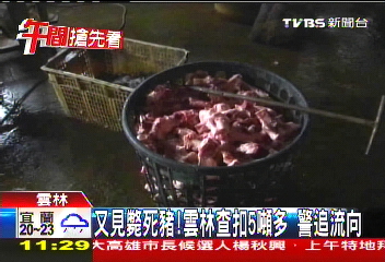 又見斃死豬!雲林查扣5噸多 警追流向