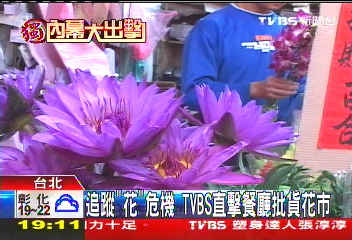 〈獨家〉餐廳批貨花卉 花市坦言含農藥