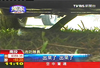 〈獨家〉車內有蛇! 消防隊學黑手拆車抓蛇