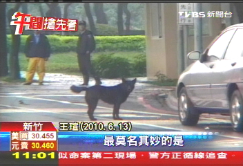 狗咬人！仗打腿　竹科名媛互告不和解