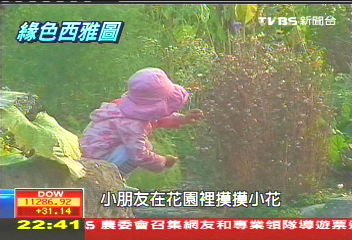 【綠色西雅圖】西雅圖市民瘋種菜　在地種植講環保