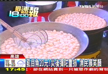 虱目魚20元！災後彌陀重振　漁民展笑顏
